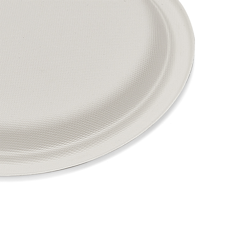 9 Inch Dish-ws23010