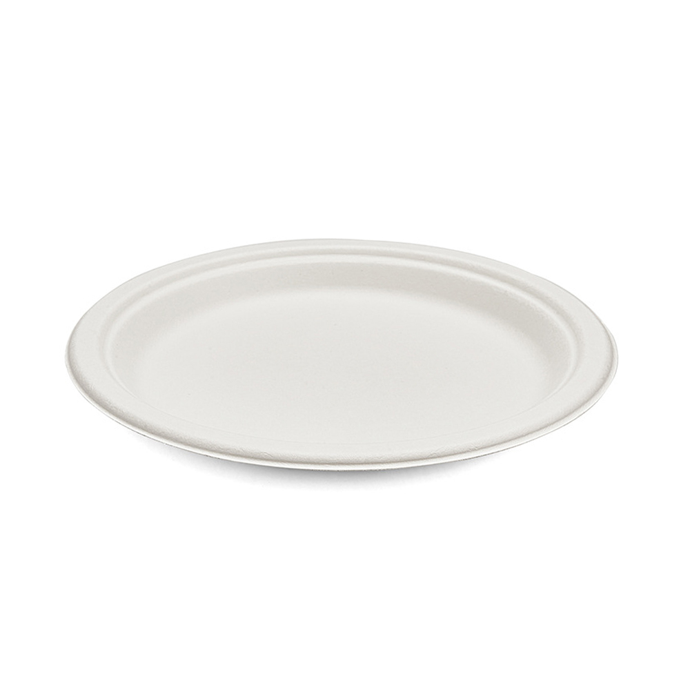 9 Inch Dish-ws23010