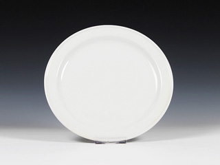 9''porcelain hotelware double rim middle size  plate