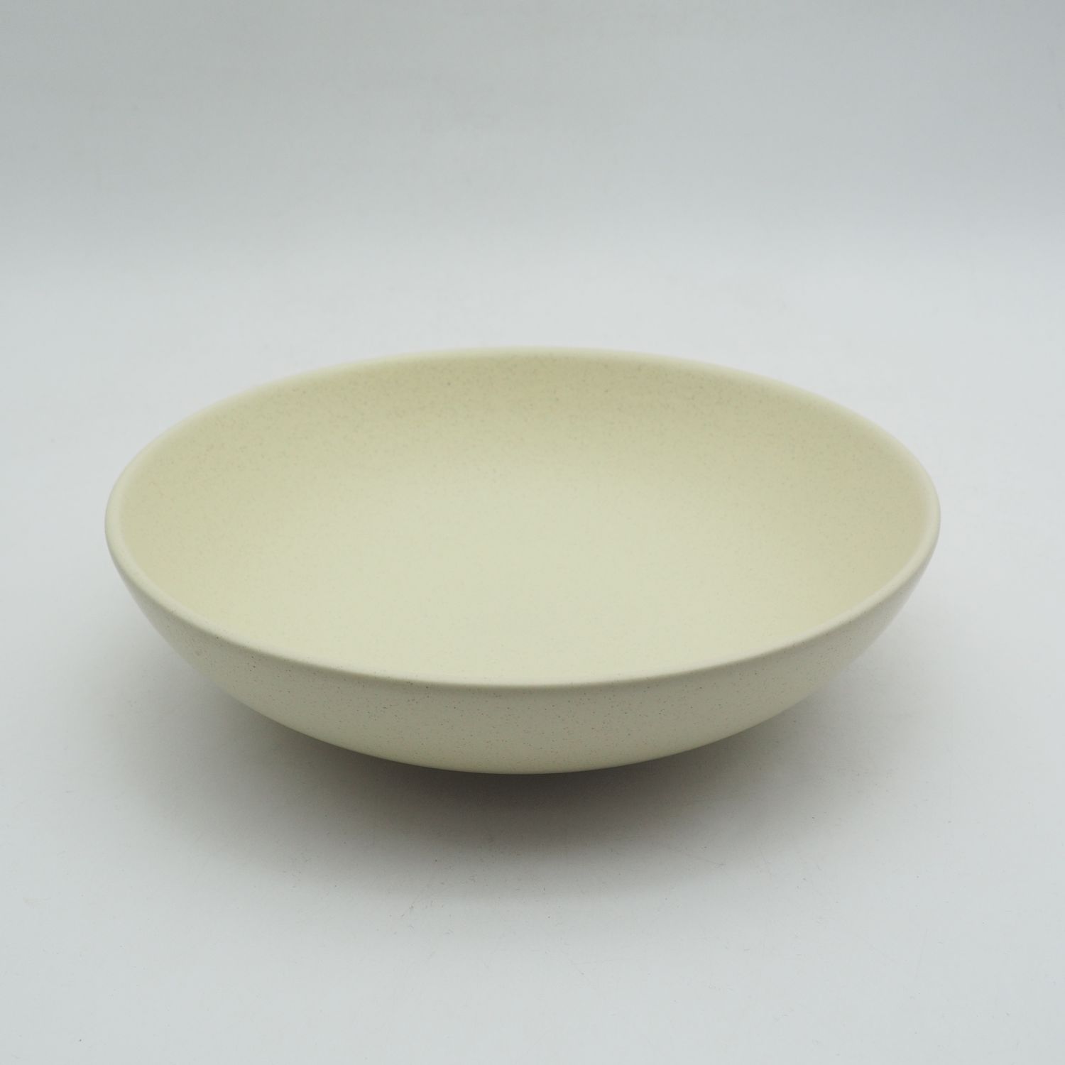 20pc stoneware dinnerset-134fs036